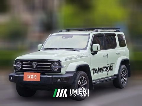 2022 Tank 300 2021 CityEdition 2.0T AT Very