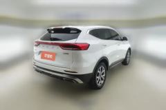 2021 Haval H6 2021 1.5T AT China tideChampion #3