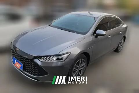2023 BYD Qin Plus 2023 Champion 1.5 AT DM-i 120KM Surpass
