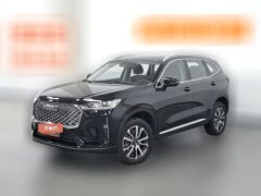 2021 Haval H6 2021 1.5T AT No.3generation2WDMax #1
