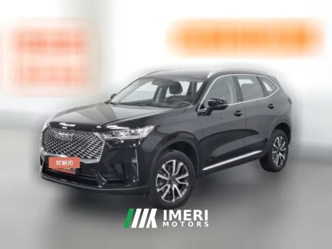 2021 Haval H6 2021 1.5T AT No.3generation2WDMax