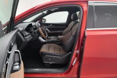 2022 BYD Tang PHEV 2021 2.0T AT DM4WDPerformancePremium #13
