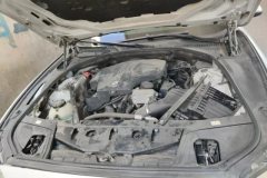 2017 BMW 5 Series 2017 2.0T AT 525LiLeading #10