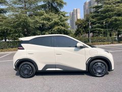 2025 BYD Seagull 2025 Smart Drive 305km freeEdition #6