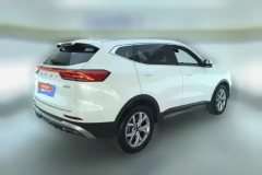 2022 Haval H6 2021 1.5T AT China tideChampion #3