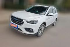 2017 Haval H6 2017 1.5T AT Blue LabelSportLuxury FWD #1