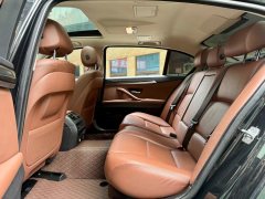 2017 BMW 5 Series 2017 2.0T AT 525LiLeading #11