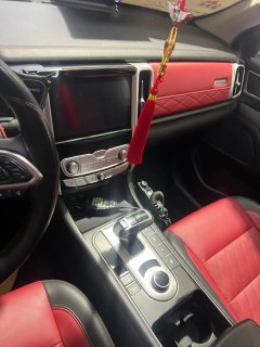 2020 Great Wall Great Wall Pao 2020 2.0TOff-roadATGasoline4WDLimitedGW4C20B #5