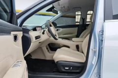 2025 Wuling Motors Wuling Bingo S 2025 430km Flagship #9