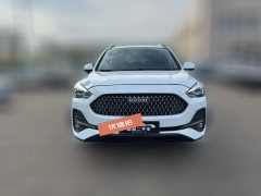 2019 Haval M6 2019 1.5T MT Elite China V #2