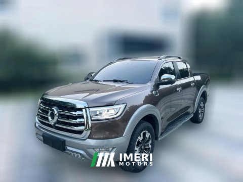 2022 Great Wall Great Wall Pao 2021 2.0T AT Ride around the worldEditionGasoline4WDExclusivestandard boxGW4C20B