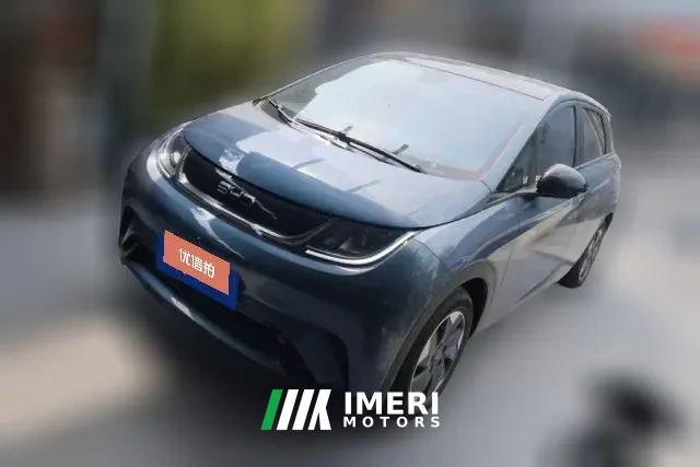 2025 BYD Dolphin 2024 Glory 420km Fashion
