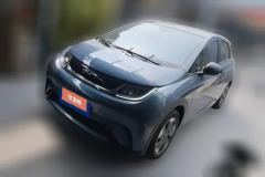 2025 BYD Dolphin 2024 Glory 420km Fashion #1