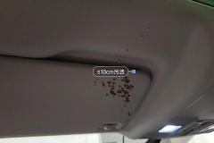 Driver Sun Visor