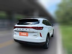 2023 Haval H6 2022 No.3generation 1.5T AT 2WDPro #7