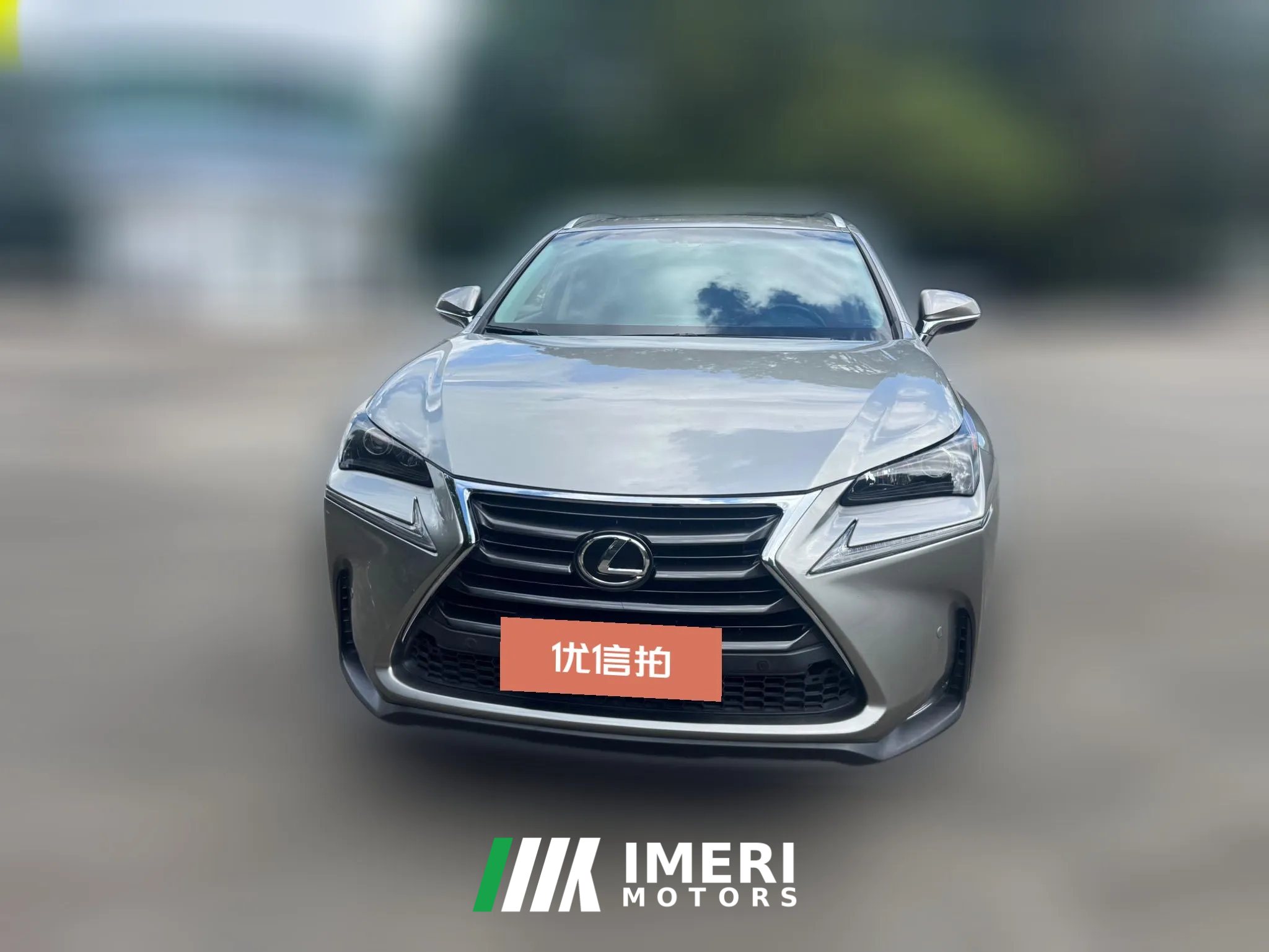 2015 Lexus NX 2015 2.0 AT 200Feng ShangEdition4WD (Imported)