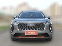 2021 Haval Chulian 2021 1.5T ATLarge3Edition #2