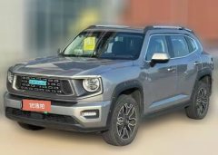 2024 Haval Big Dog Plus PHEV 2024 Hi4 102km Tide electricityEditionplus #1