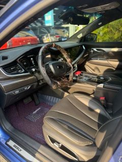 2018 Geely Auto Bo Rui PHEV 2018 1.5T AT PHEVYaoxiangEdition HEV #13