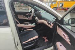 2025 BYD Seagull 2025 Smart Drive 305km freeEdition #8