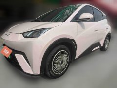 2024 BYD Seagull 2023 vitalityEdition #1