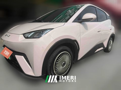 2024 BYD Seagull 2023 vitalityEdition