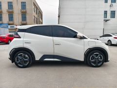 2024 BYD Seagull 2024 Glory 305KM freeEdition #4