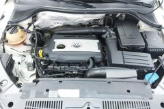 2015 Volkswagen Tiguan 2015 1.8T AT Luxury 4WD #10