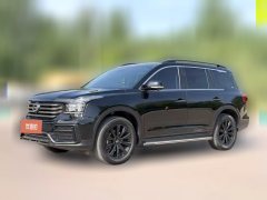2021 GAC Trumpchi Trumpchi GS8 2021 2.0T AT 390Tdark knightEditionFWD #1