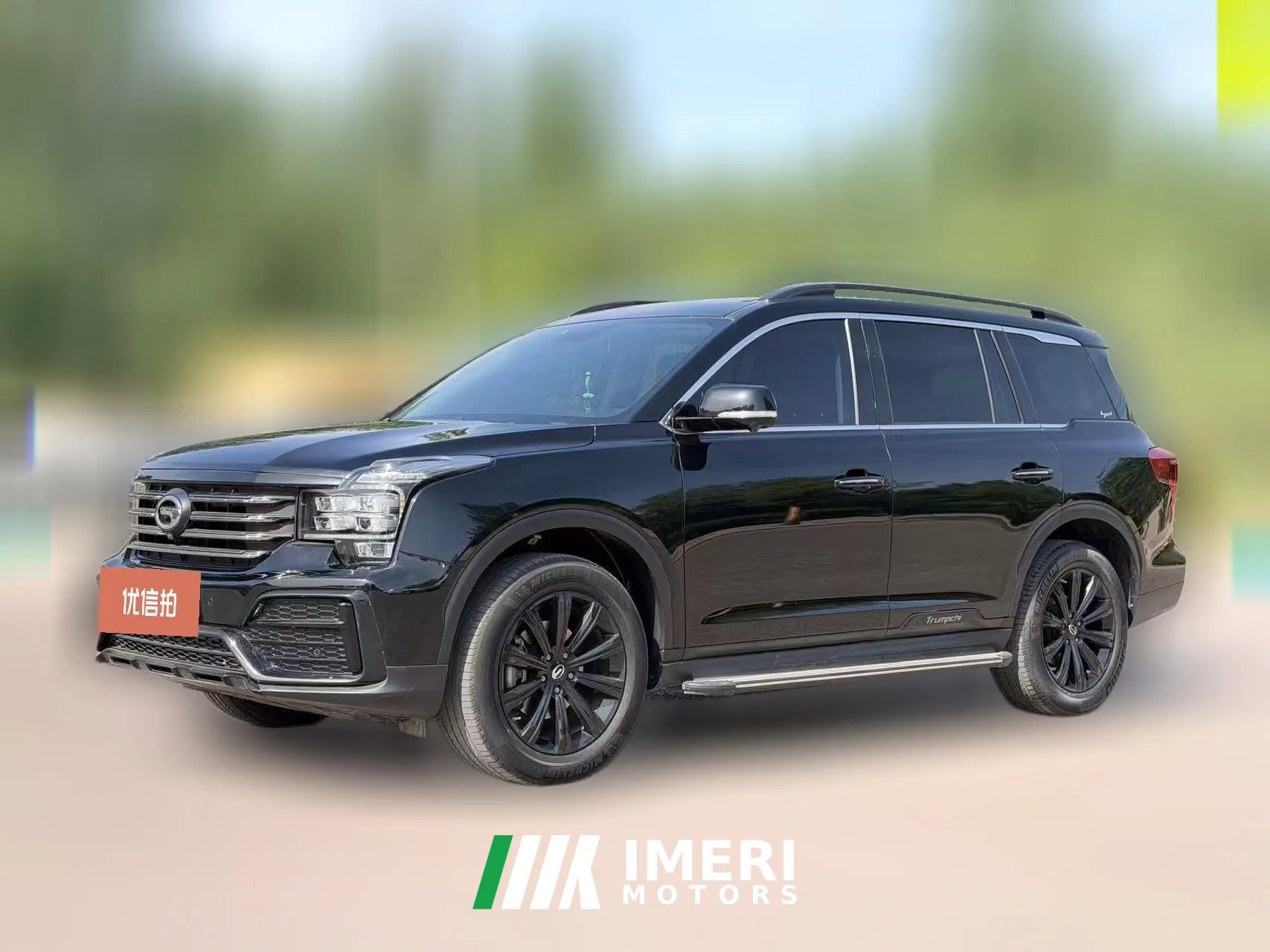 2021 GAC Trumpchi Trumpchi GS8 2021 2.0T AT 390Tdark knightEditionFWD