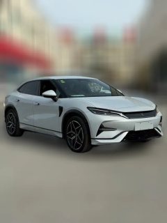 2026 BYD Song L EV 2024 602km 4WDexcellence #3