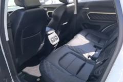 2020 Haval H6 2020 2.0T AT PlatinumChampion #11