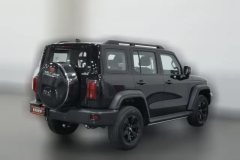 2022 Tank 300 2021 Off-road 2.0T AT challenger #2
