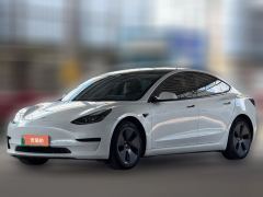 2021 Tesla Model 3 2021 StandardBattery lifeRWDUpgradeEdition #2