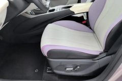 2022 BYD Dolphin 2021 405km Fashion #21