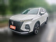 2022 Roewe RX5 MAX 2022 1.5T AT promisingPremium #1