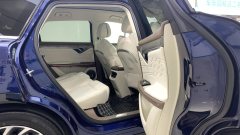 2022 Voyah Free 2021 4WDStandardEREVExclusiveLuxury Pkg #10