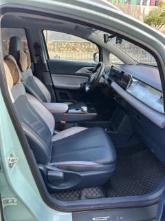 2022 Geometry E Firefly 2022 401KM Exquisite Tiger 4Seat #4
