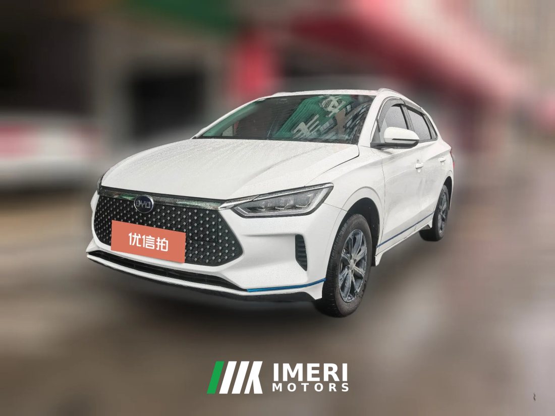 2021 BYD e2 2021 Luxury