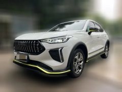 2023 Haval Chitu 2022 Power Enjoy 1.5T AT Copper Rabbit #1