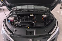 2025 BYD Qin L 2025 1.5L AT DM-i Smart Drive 120KMSurpass #10