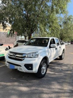 2021 Great Wall Fengjun 7 2021 2.0T MT Gasoline2WDSuper ValueLarge Double CabGW4C20B #10