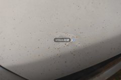 Engine Hood
