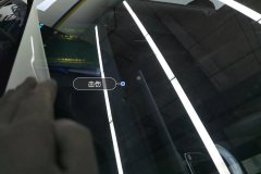 Windshield