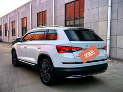 2020 Škoda Kodiaq 2020 2.0T AT TSI330 5Seat2WDLuxuryPremium #6