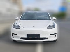 2020 Tesla Model 3 2020 StandardBattery lifeRWDUpgradeEdition #3
