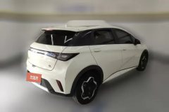 2023 BYD Dolphin 2021 405km Fashion #3