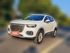 2017 Haval H2s 2018 1.5T MT Fashion #1