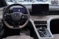 2023 BYD Song Pro PHEV 2023 Champion 1.5 AT DM-i 110KM Surpass #12