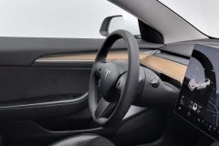 2021 Tesla Model 3 2021 StandardBattery lifeRWDUpgradeEdition #23